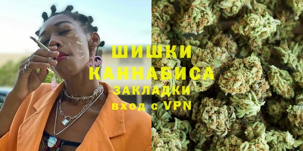 индика Карпинск