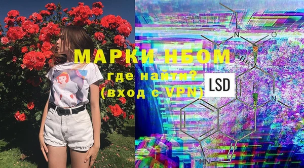 индика Карпинск