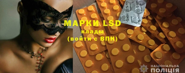 индика Карпинск