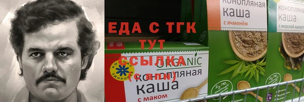 индика Карпинск