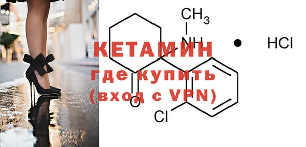 индика Карпинск