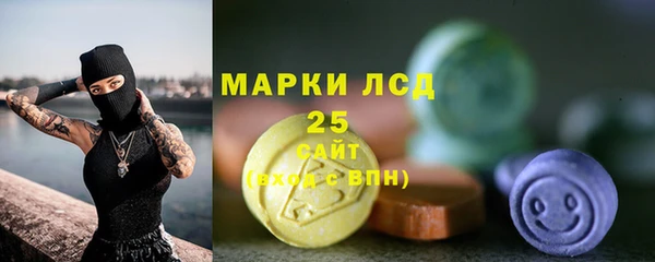 индика Карпинск