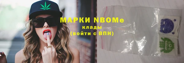 индика Кинешма