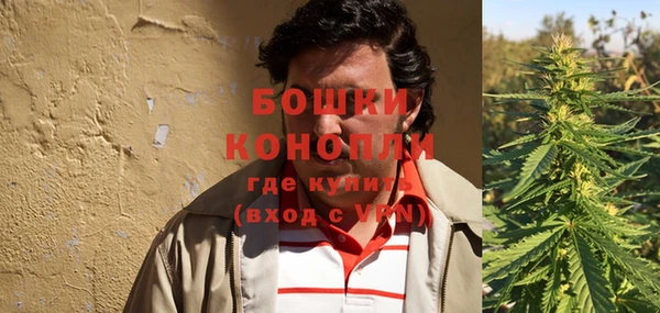 индика Кинешма