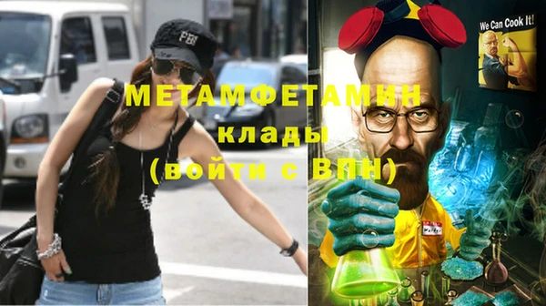 индика Кинешма