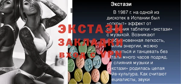 индика Карпинск