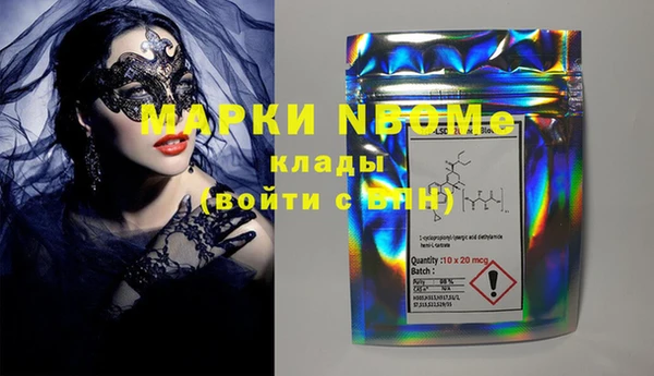 индика Карпинск