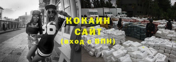 индика Кинешма