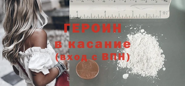 индика Карпинск