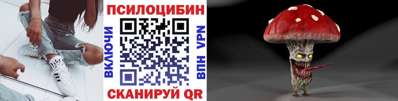 Купить  Октябрьск  Псилоцибиновые грибы Psilocybe 